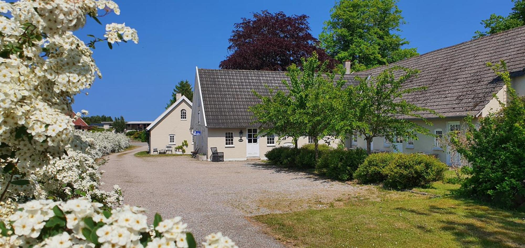 Store Ejlstrup Bed & Breakfast Odense Bagian luar foto